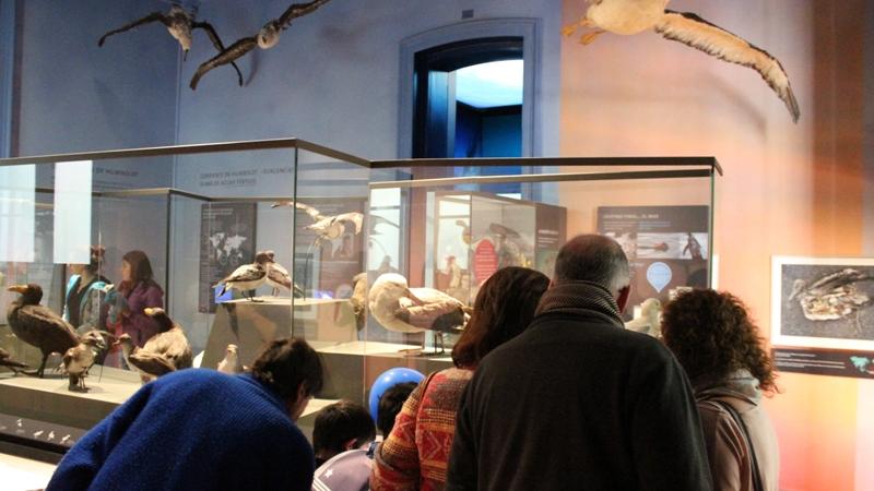 Más de cinco mil personas disfrutaron el museo y su exhibición permanente "Biodiversidad en la región central", en la imágen: Sala Superficie del MHNV.